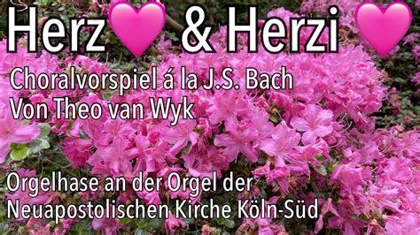 Herz und Herz vereint zusammen á la Bach Theo van Wyk Gottesdienst