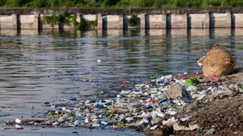 Que Es La Contaminación Del Agua Tipos Causas Consecuencias Hot Sex