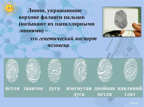 Исследовательский проект в средней группе. Отпечатки пальцев ...