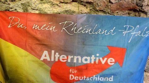 AfD und Grüne streiten vor Gericht