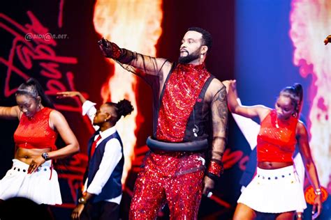 Musique Fally Ipupa offre un noël mémorable lors de son concert au