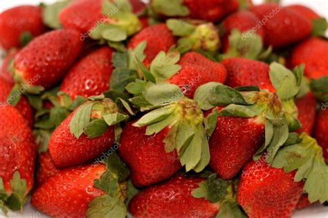 Pila De Fresas Frescas La Fresa De Jardín Es Una Especie Híbrida