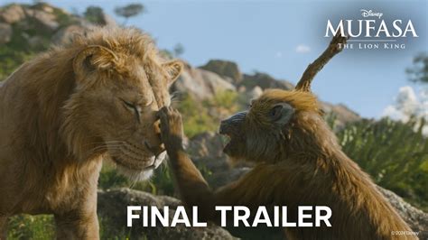 Mufasa The Lion King Release Date Reviews Cast And More What To