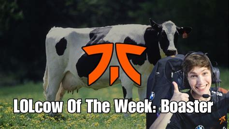 Lolcow Of The Week Boaster YouTube