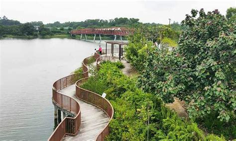 prive condo  hougang punggol sengkang prices reviews