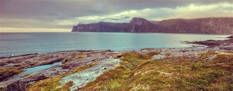 Premium Photo | Fjord rocky beach at sunset wildlife norway senja ...