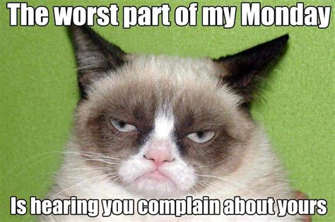 Grumpy Cat Simply Stacie