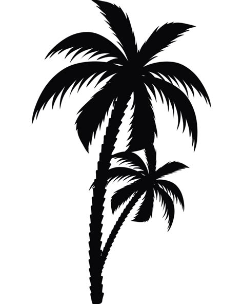 Trees Palms Silhouettes 24098460 PNG