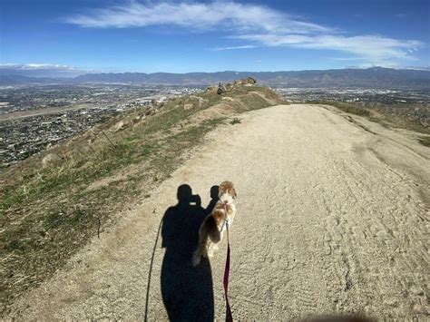 Blue Mountain Trail - California | AllTrails