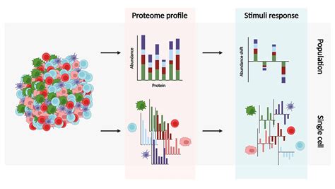 Single Cell Proteomics Thermo Fisher Scientific IN