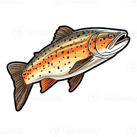 Trout Fish Illustration Jumping Fish Freshwater Sportfishing 26721390 Png