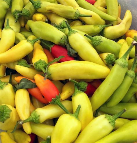 A 02g Approx 30 Hot Pepper Seeds Hungarian Yellow Wax Hot Etsy