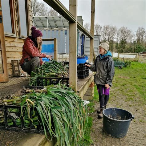 Camel Community Supported Agriculture