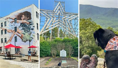 Dog-Friendly Trails and Tasty Brews: A Weekend in Roanoke VA