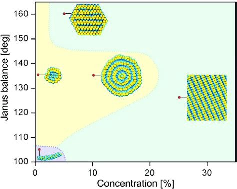 Schematic Janus Balance Concentration Phase Diagram For Amphiphilic