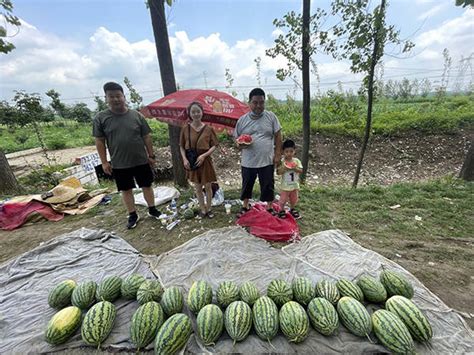 平舆县万冢镇：第一书记助力农产品销售韩铭山西瓜驻村