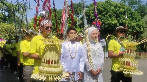 Petik Tebu Manten SGN PG Prajekan Pertama Yang Mulai Giling Di Jatim