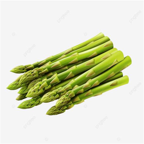 Fresh Green Asparagus Isolated Illustration, Asparagus, Vegetable ...