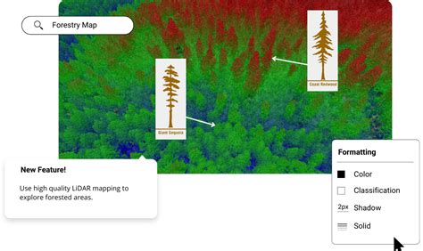 High Resolution Forest Mapping Equator