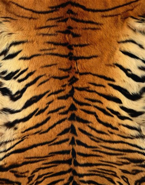 Tiger Skin