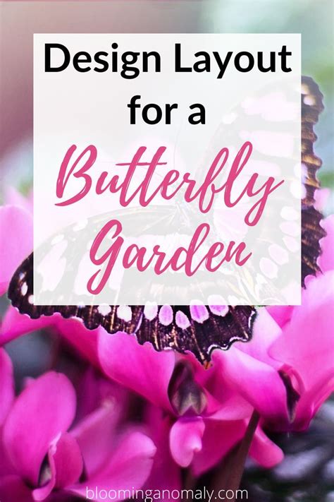 Butterfly Garden Plants Butterfly Feeder Butterfly Bush Butterfly