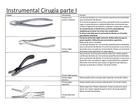 odontologia instrumento en la odontología