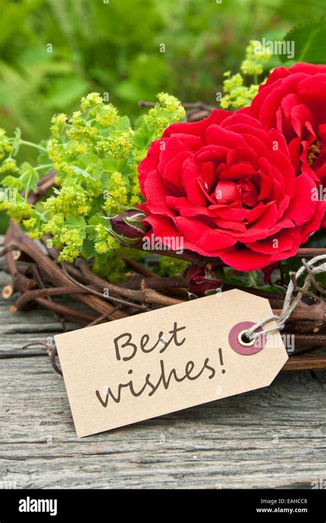 Best wishes hi-res stock photography and images - Alamy