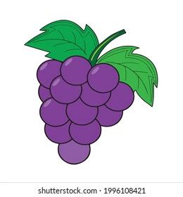 Grapes On White Background Vector Stock Vector (Royalty Free) 1996108421 | Shutterstock