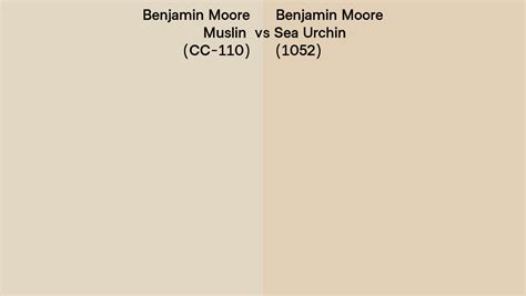 Benjamin Moore Muslin Vs Sea Urchin Side By Side Comparison