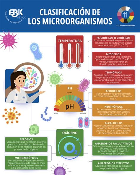 Los Microorganismos Se Clasifican Según A Temperatura B Ph C OxÍgeno Microorganismos