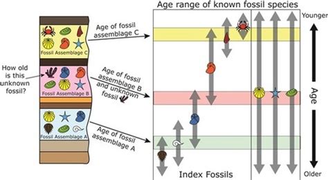 Svt Passe Geologique De Notre Planete Flashcards Quizlet