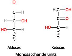 Aldose vs. Ketose: Structural Isomeric Monosaccharides - PSIBERG