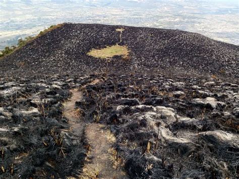 Hect Reas Consumidas Por Incendio En El Imbabura Diario La Hora