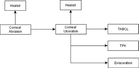 Corneal abrasion and ulcer pathway. Healing of corneal abrasion with ...