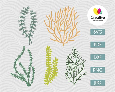 Seaweed Svg Bundle Cut File Creative Vector Studio