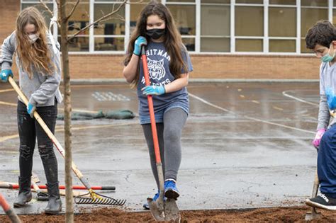 Tree Planting At Lillis Albina Park