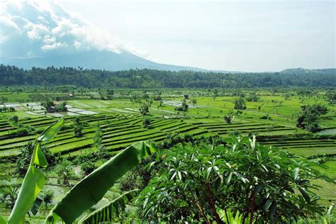 Gianyar Regency Top Tours and Trips | Page 2 of 2 | experitour.com