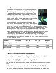 Lab Photosynthesis Assignment Docx Photosynthesis An Experiment