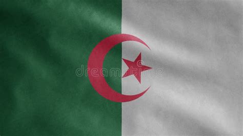 Bandeira Algeriana Acenando Ao Vento Fechar O Banner Argelia Soprando