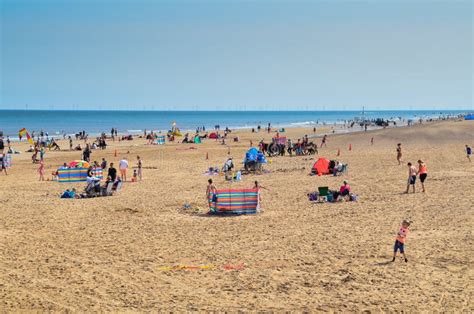 Seaside Donkeys At Mablethorpe Stock Image Image Of Lincolnshire