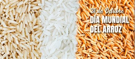 D A Internacional Del Arroz Propiedades Y Beneficios Para La Salud