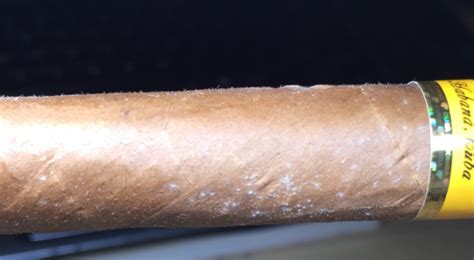 Cigar Plume Or Cigar Mold Better Cigar Cigar Guides And Reviews