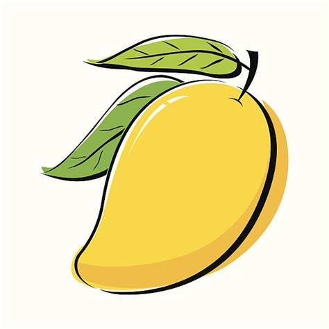 Mango Fruit Clip Art Vector Images And Illustrations Istock