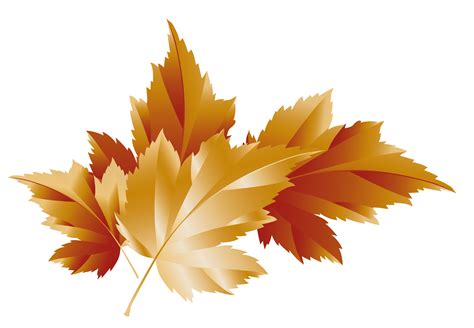 Fall Transparent Leaves Decor Picture | Gallery Yopriceville - High ...