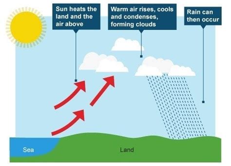 In The Diagram Shown Which Process Is Precipitation The Wate