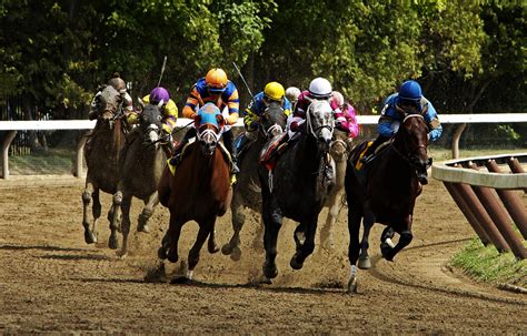 Saratoga Racecourse Track Tours Get The Inside Story Of This Season