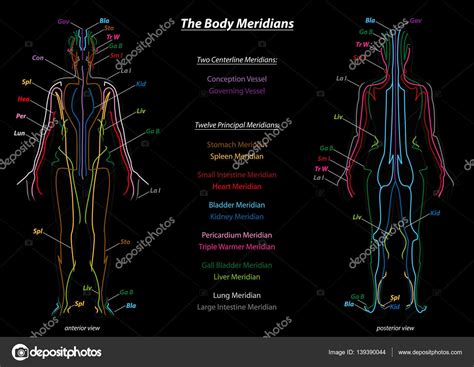 Meridian System Chart