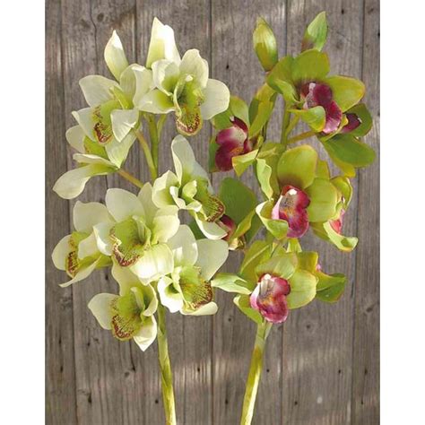 Acheter Des Tige D Orchid E Cymbidium Artificielle Yenna Vert Violet Cm