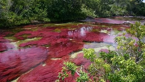 Nari O Departamentos En Colombia Geograf A