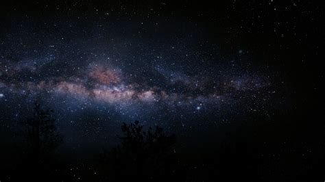 Wallpaper Silhouette Of Trees Under Blue Sky With Stars During Night